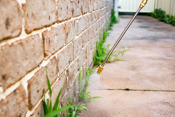 Best Outdoor Pest Control  in Fox Farm College, WY